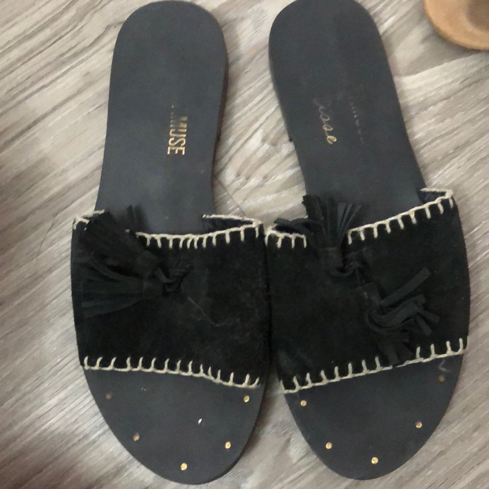 Matisse x Amuse Society